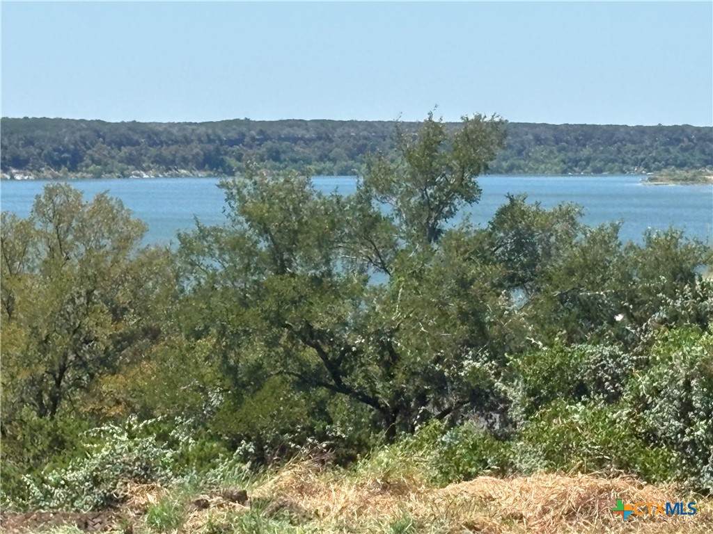 TBD Indian Bluff Road - Photo 1
