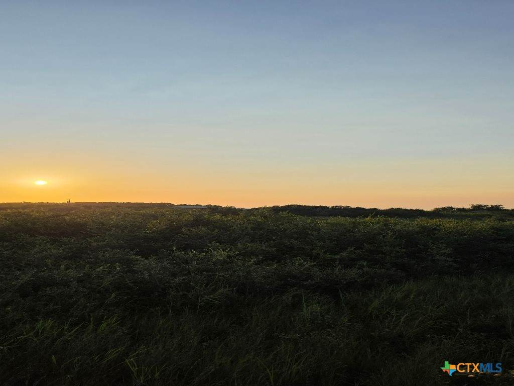 000 Carabajal Road - Photo 1