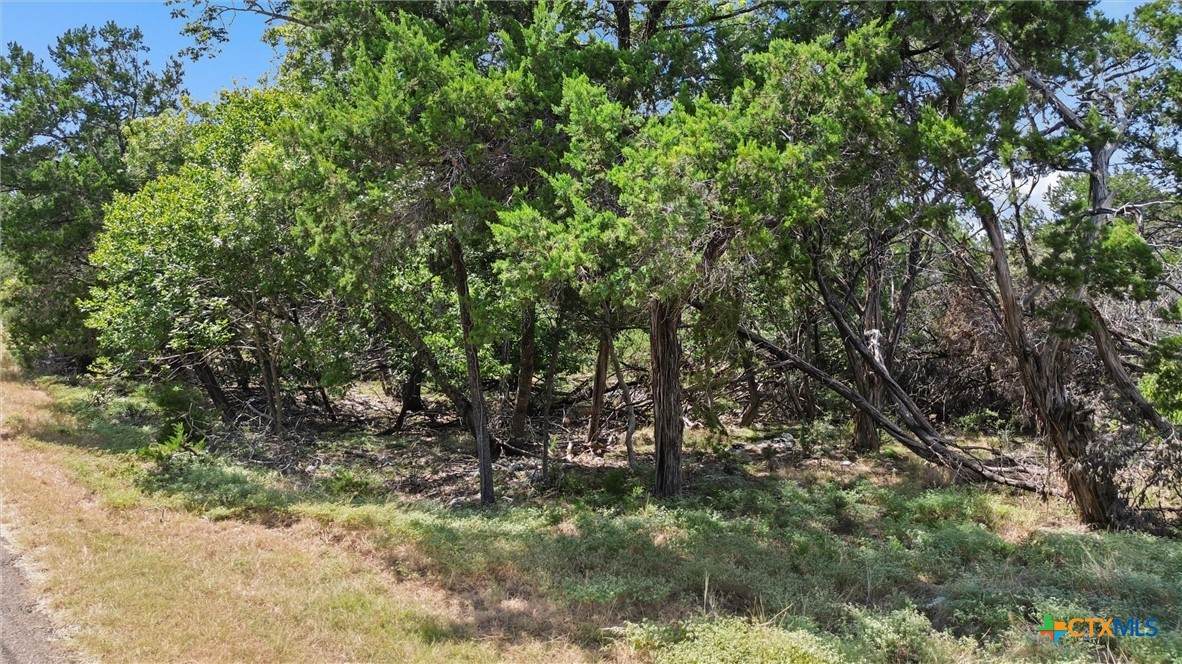 https://bt-photos.global.ssl.fastly.net/centraltx/orig_boomver_1_623859-2.jpg