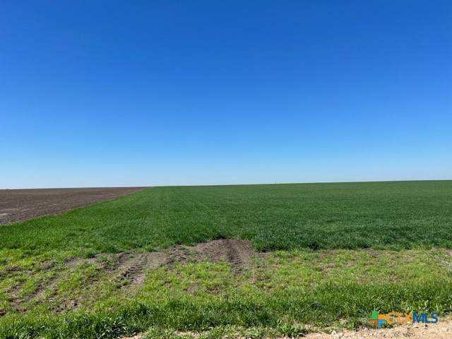 Tract 3C Airville Road Road - Photo 1
