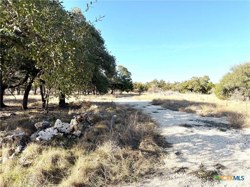 1358 County Road 233 Road - Photo 1