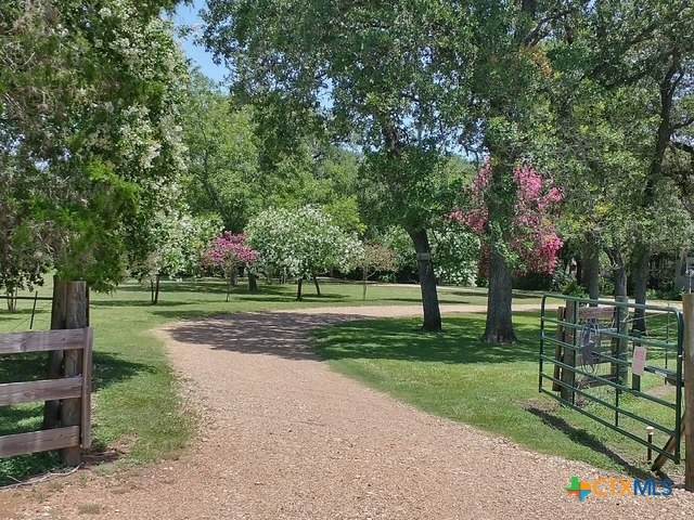 1037 Noll Road - Photo 1