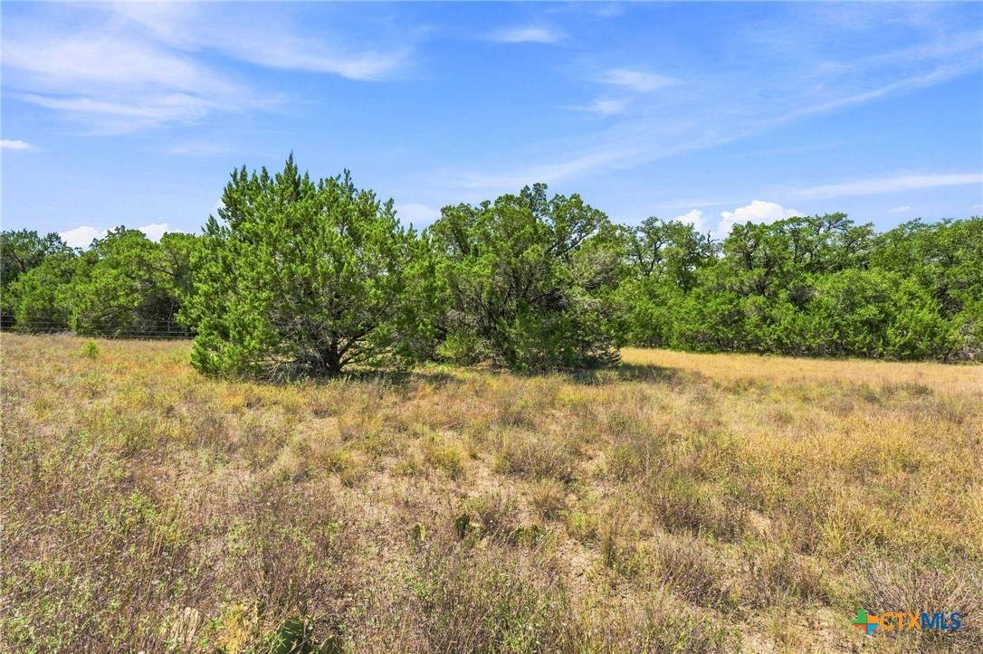 TBD LOT 2 (10.68 Ac) Lipan Run - Photo 1