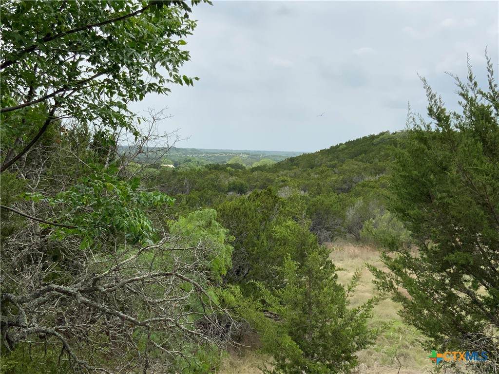 https://bt-photos.global.ssl.fastly.net/centraltx/orig_boomver_1_624820-2.jpg