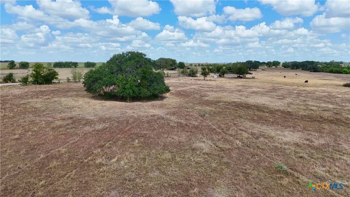 Tract 2 County Road 366 - Photo 1