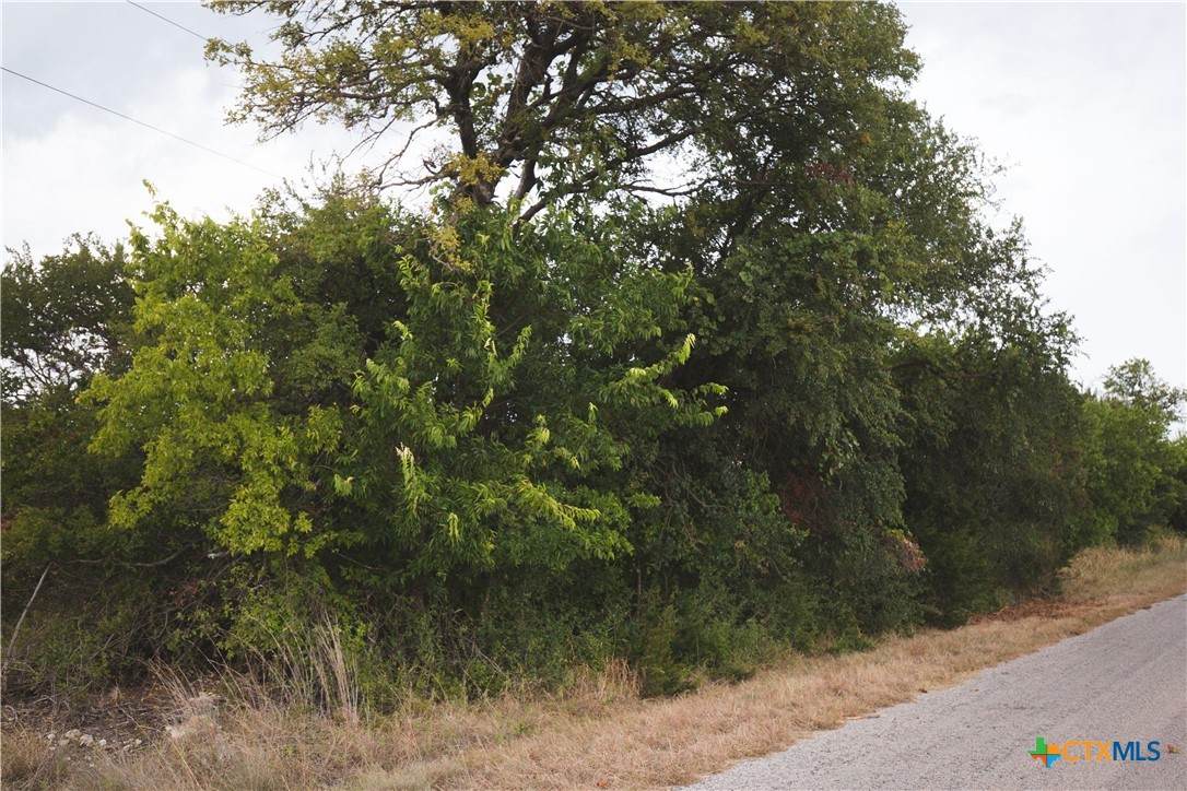 https://bt-photos.global.ssl.fastly.net/centraltx/orig_boomver_1_625031-2.jpg