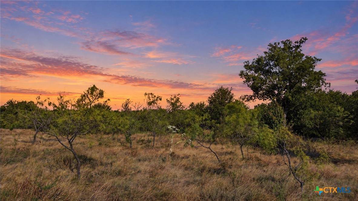 Lot 46 Twisted Creek Ranch - Photo 1