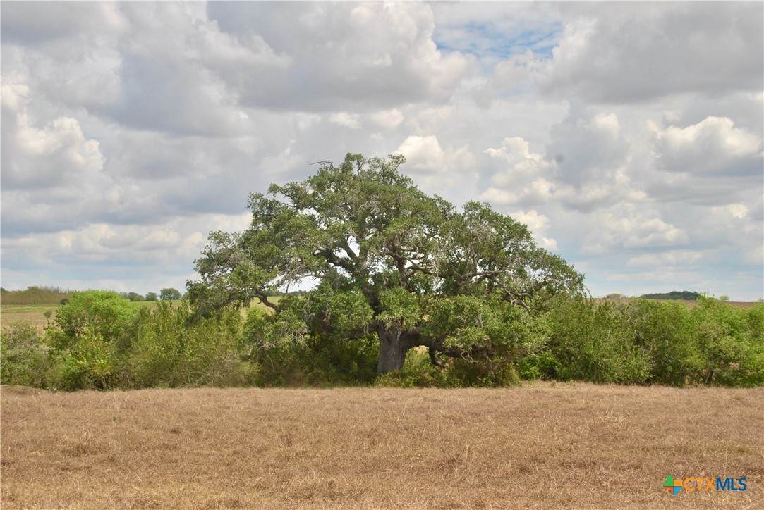 https://bt-photos.global.ssl.fastly.net/centraltx/orig_boomver_1_625075-2.jpg