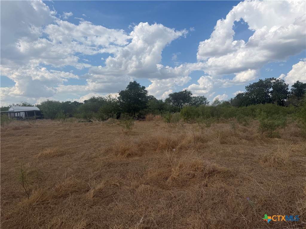 246 Old Waco Road - Photo 1