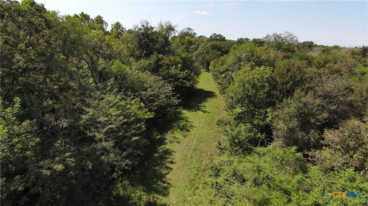 2224 Levee Road - Photo 1