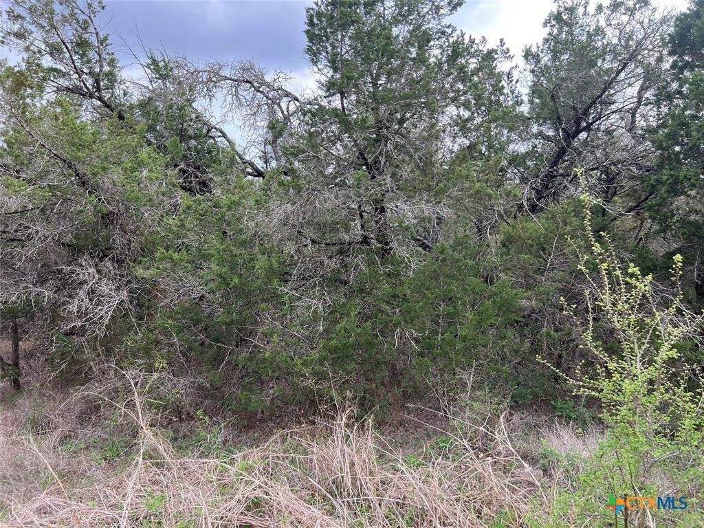800 Fox Road - Photo 1