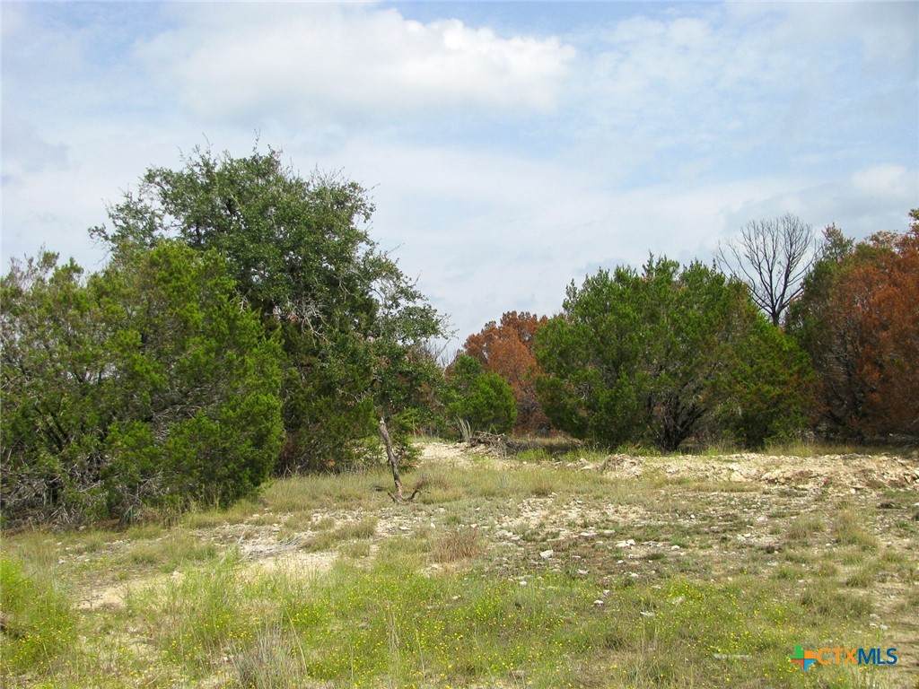Lot 102 Ph 6 Private Road 42101 - Photo 1