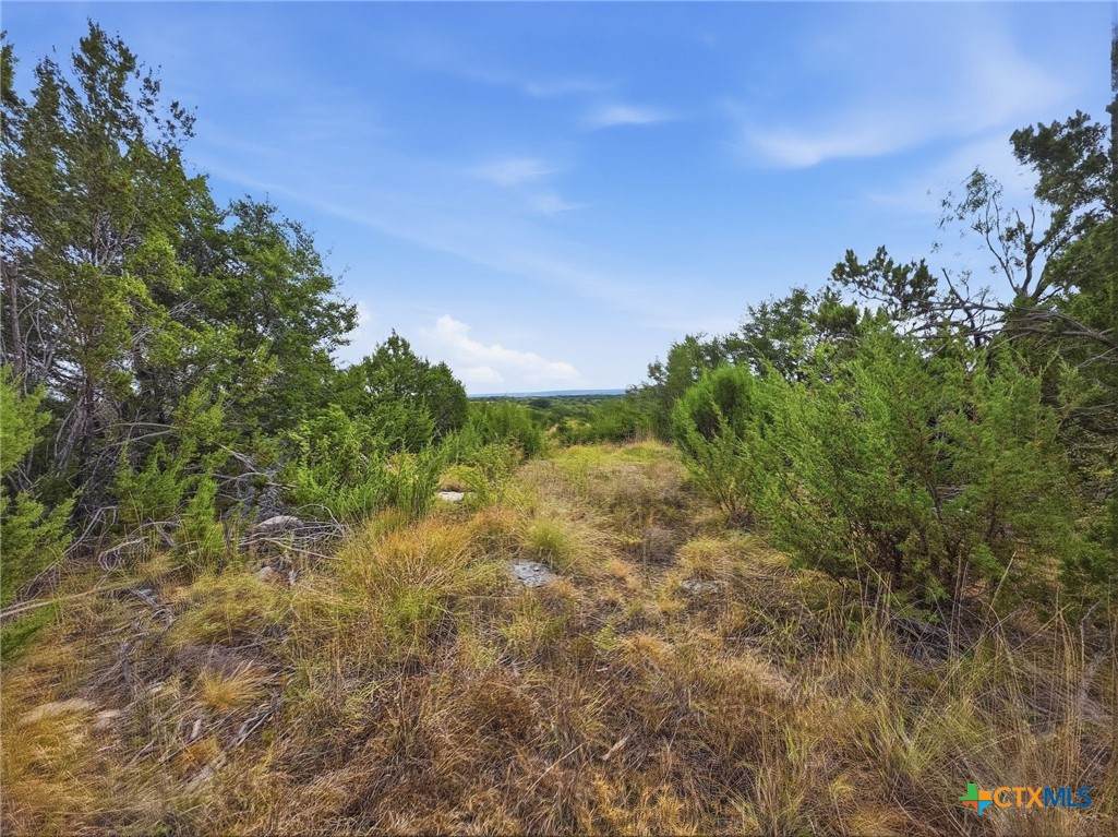 Lot 1 Cr 607 - Photo 1