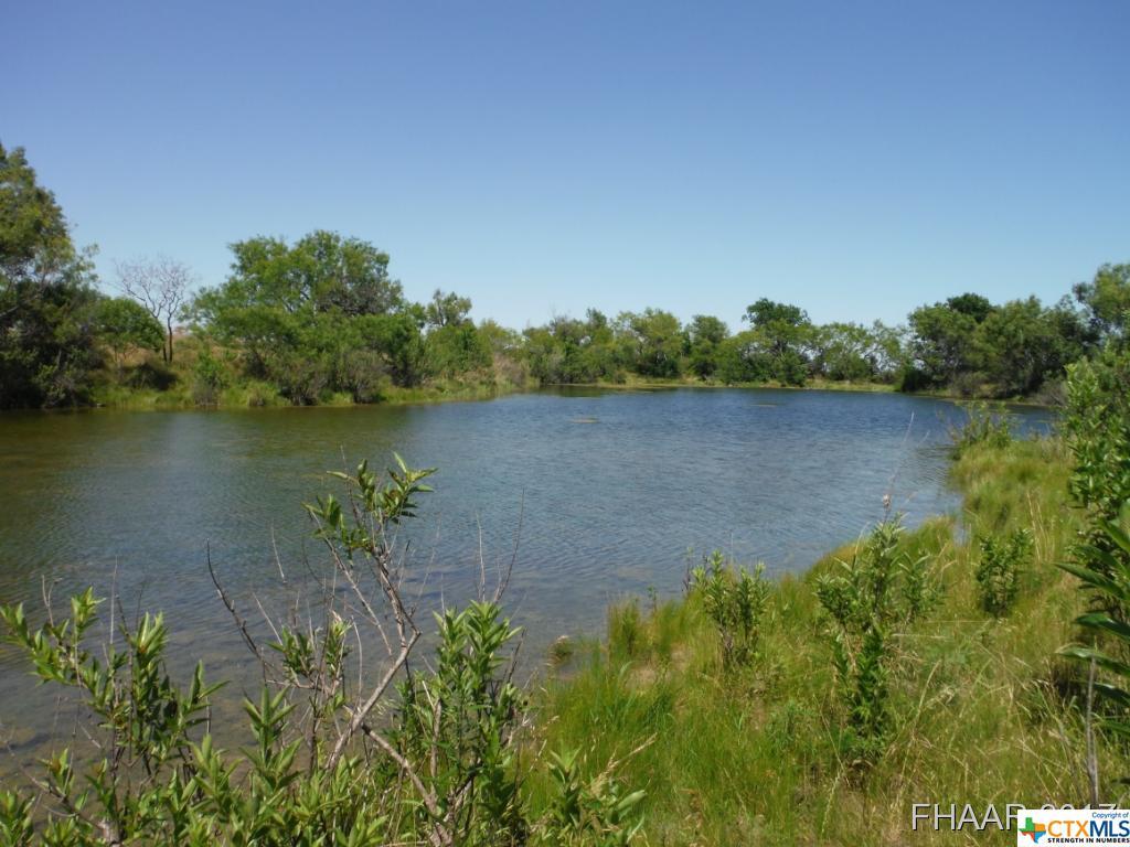 Tract 3 County Road 3640 - Photo 1