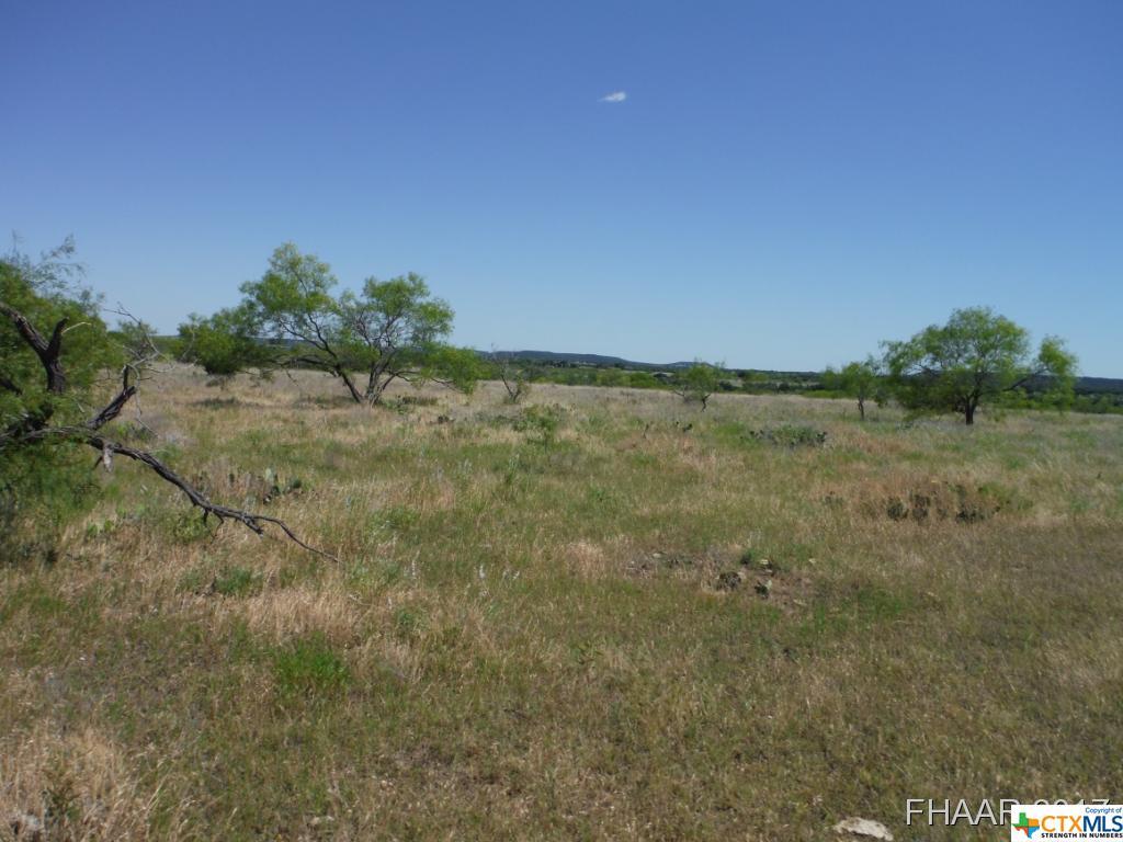 Tract 5 Private Road 3642 - Photo 1