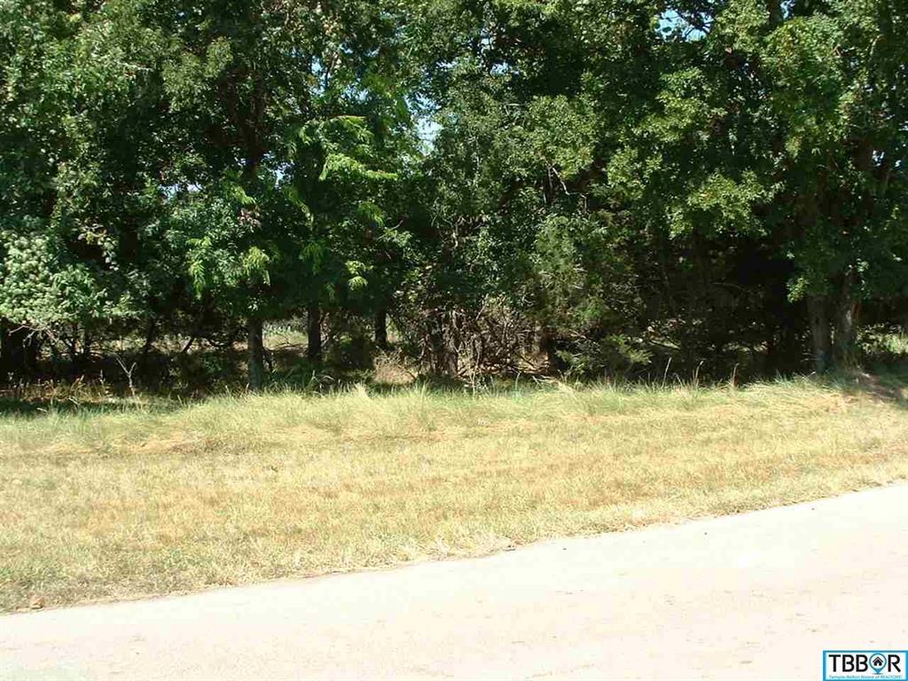 58 Buckskin - Photo 1