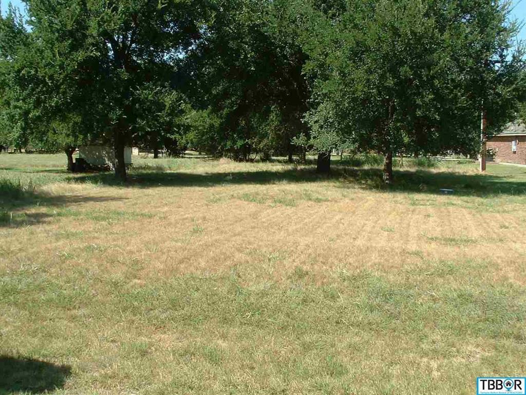 44 Buckskin - Photo 1