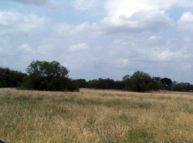 158 Fm 766 - Photo 1