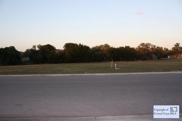603 Oak Creek Parkway - Photo 1