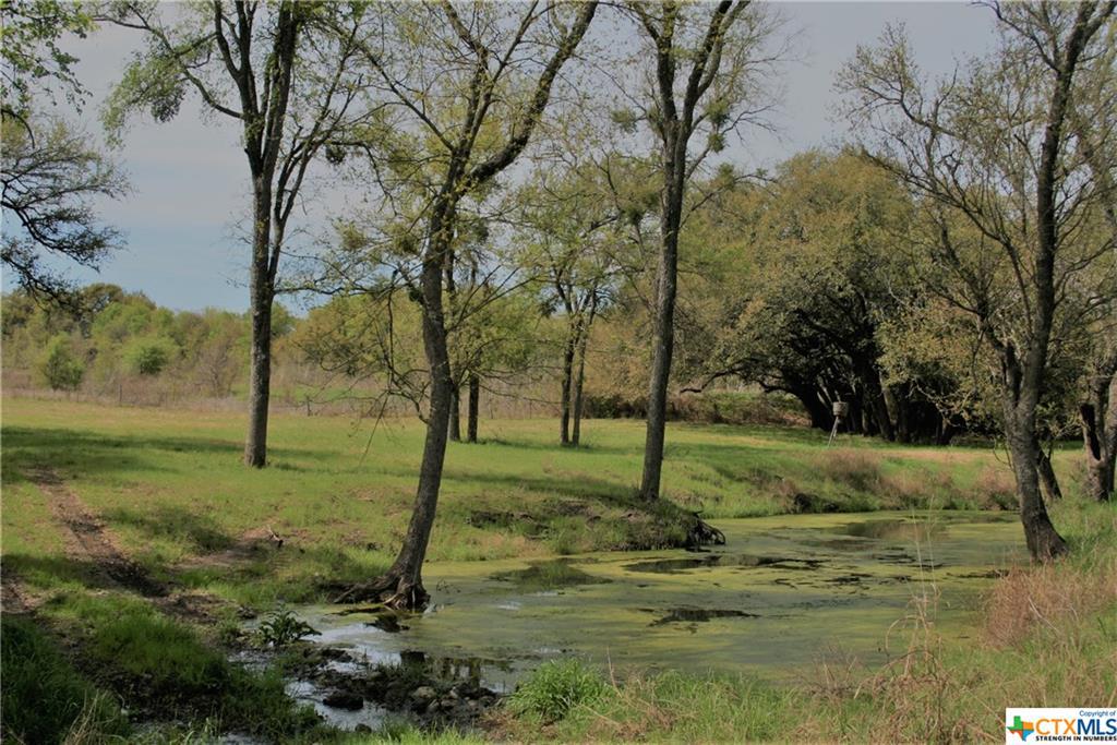 18421 Round Hall Rd. - Photo 1