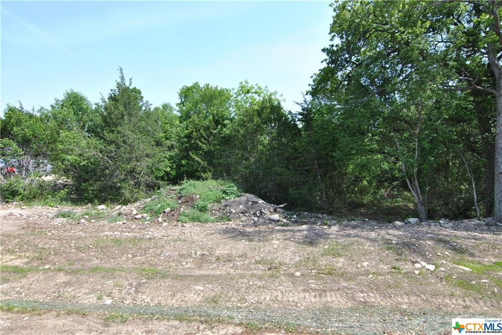 13002 Pegeon Forge Dr - Photo 1