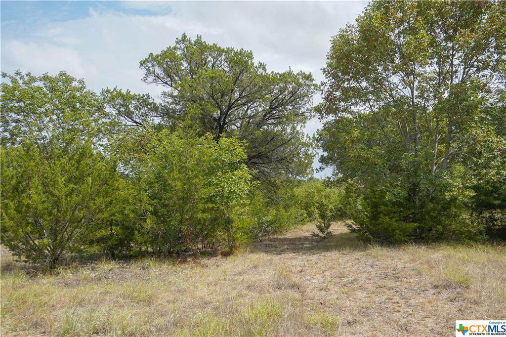 209 Chicktown Road - Photo 1