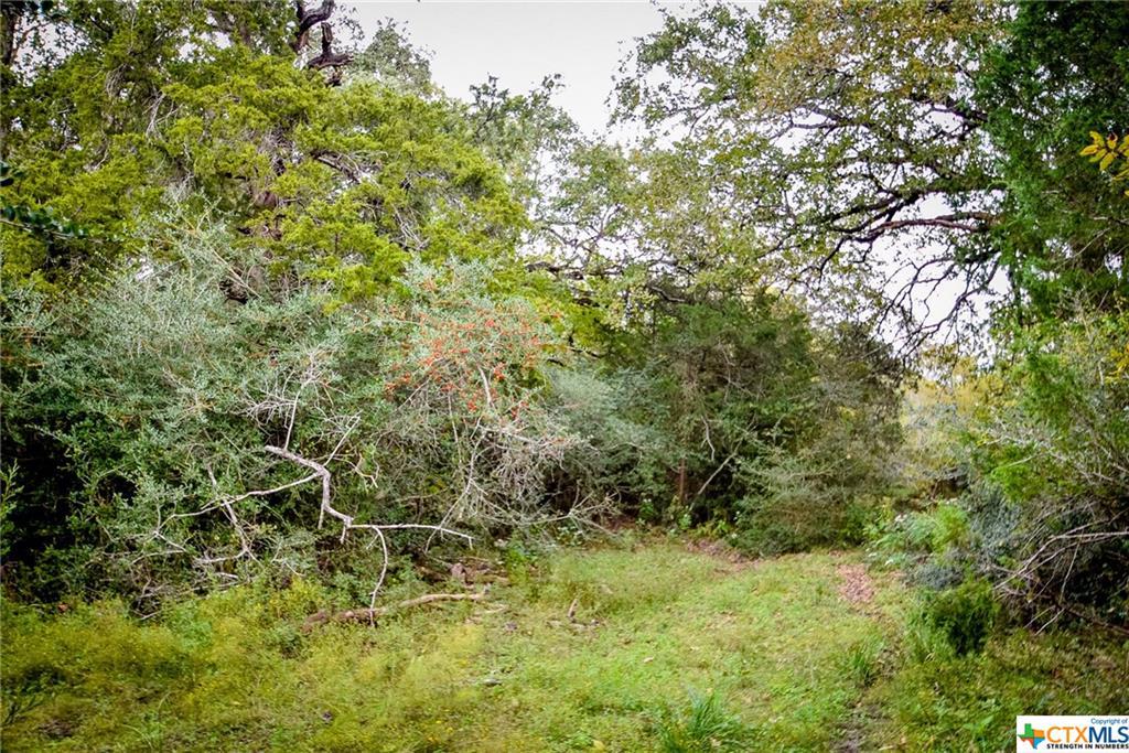 6303 Fm 2237 - Photo 1