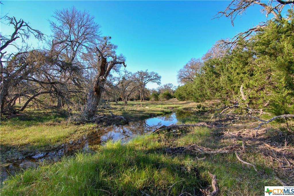 1362 Briggs Rd - Photo 1
