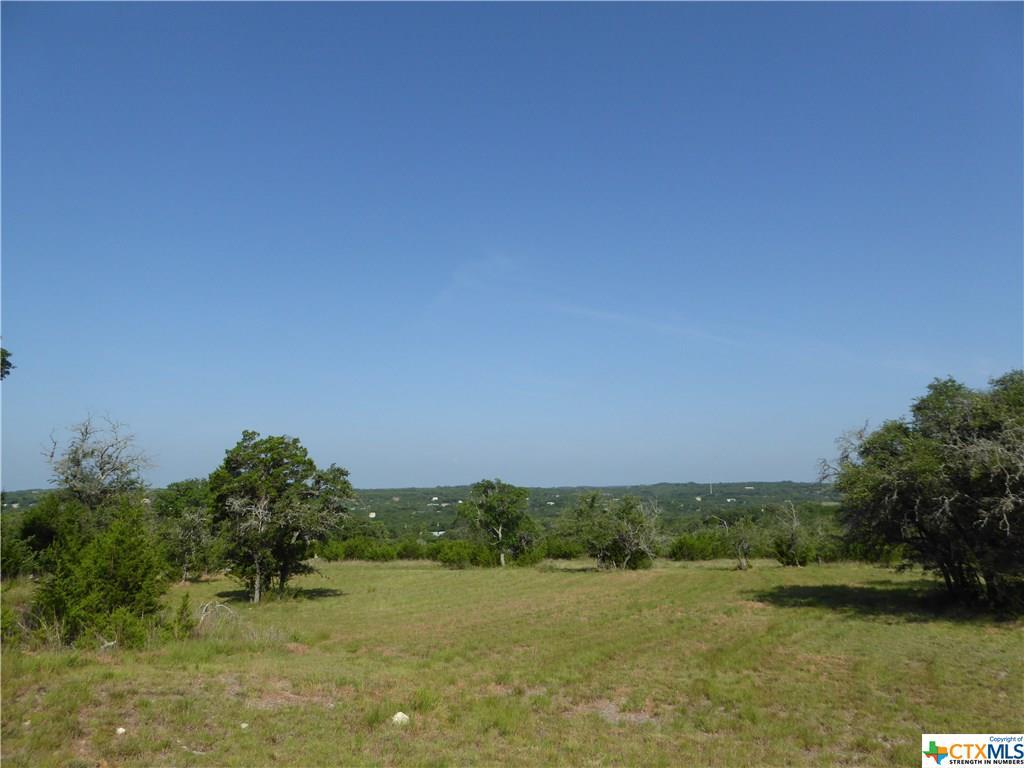 1226 Libby Lookout - Photo 1