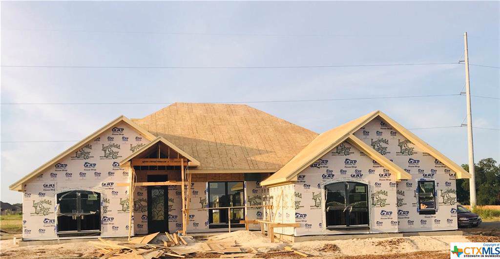 3805 Green Tree Loop - Photo 1