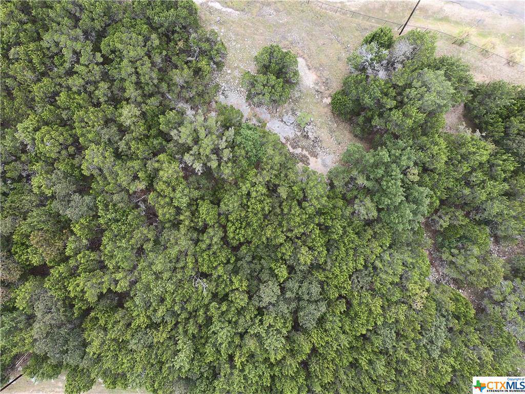 15795 Salado Court - Photo 1