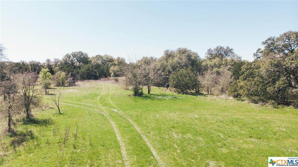 000 Wheat Road - Photo 1