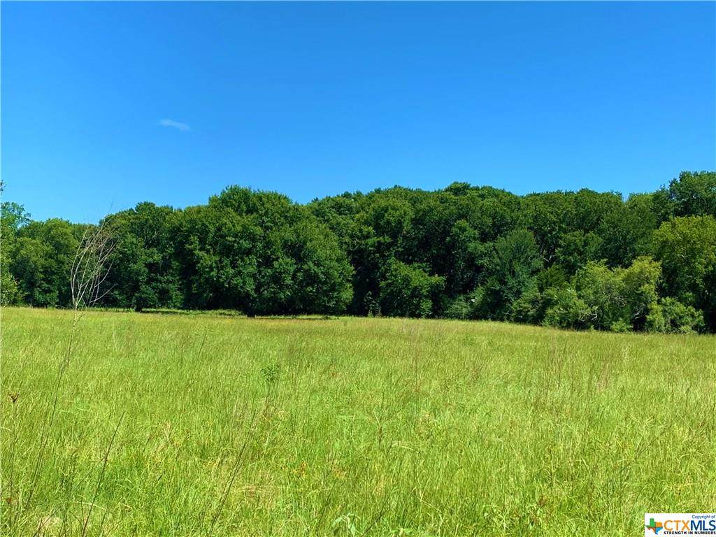 TBD Roy Road - Photo 1