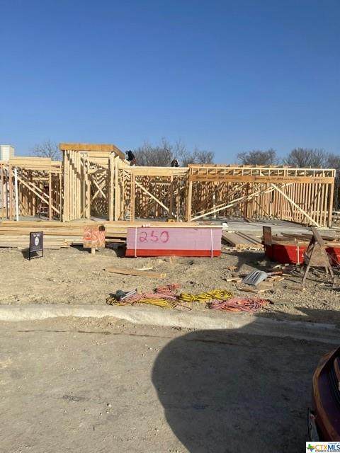250 Pecan Meadow Lane - Photo 1