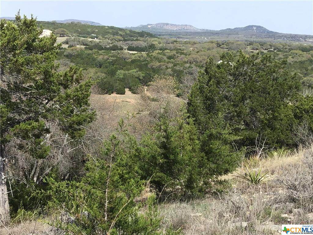 196 Venado Run - Photo 1