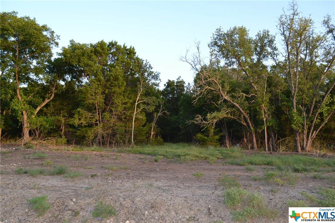 Block 3, Lot 8 Lampasas River Place Phase Two - Photo 1
