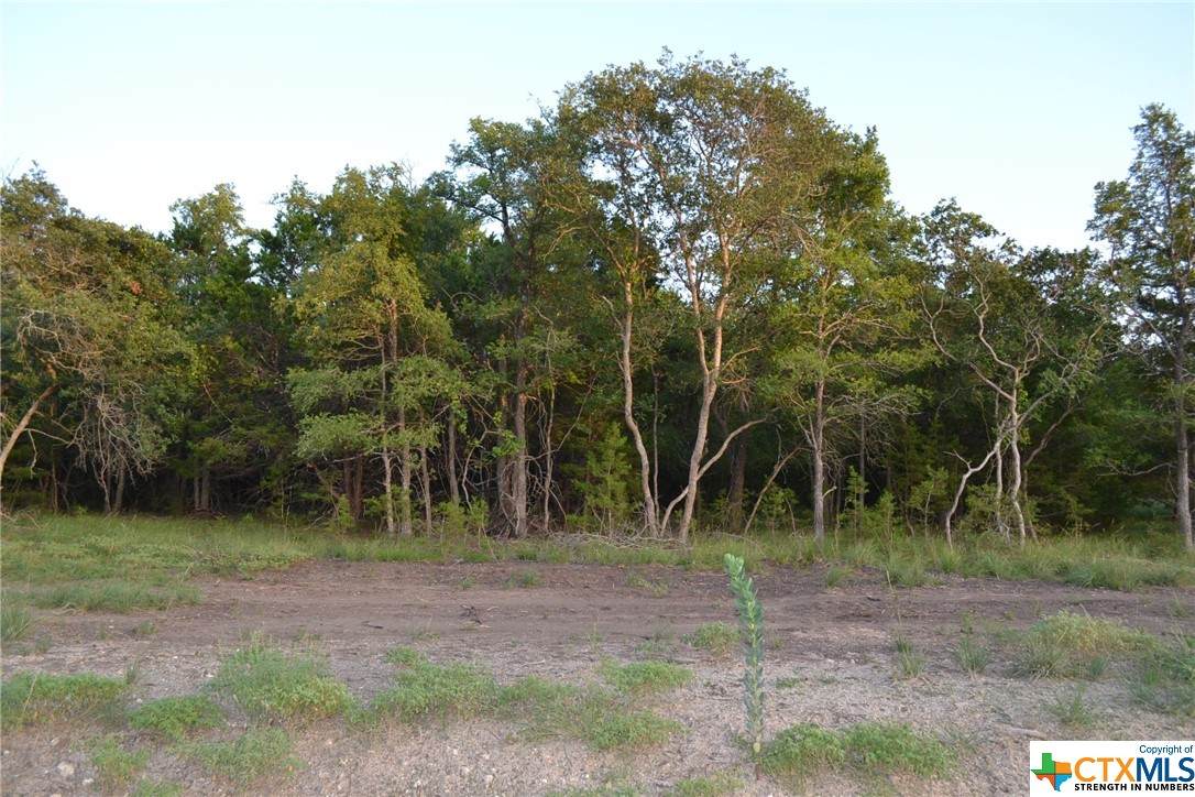 Block 3, Lot 9 Lampasas River Place Phase Two - Photo 1