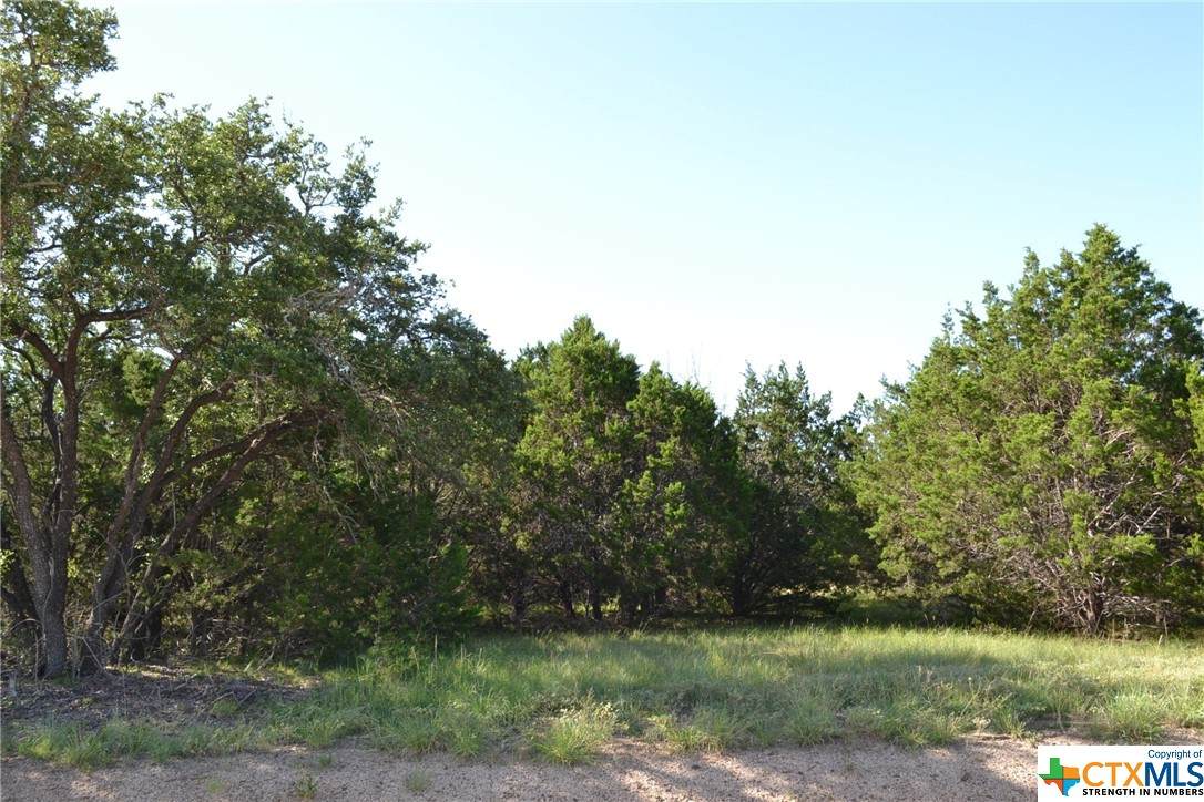 Block 7, Lot 16 Lampasas River Place Phase Two - Photo 1