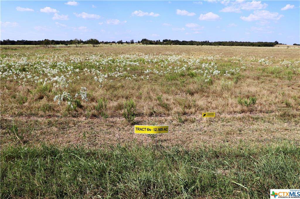 TBD Travis Road - Photo 1