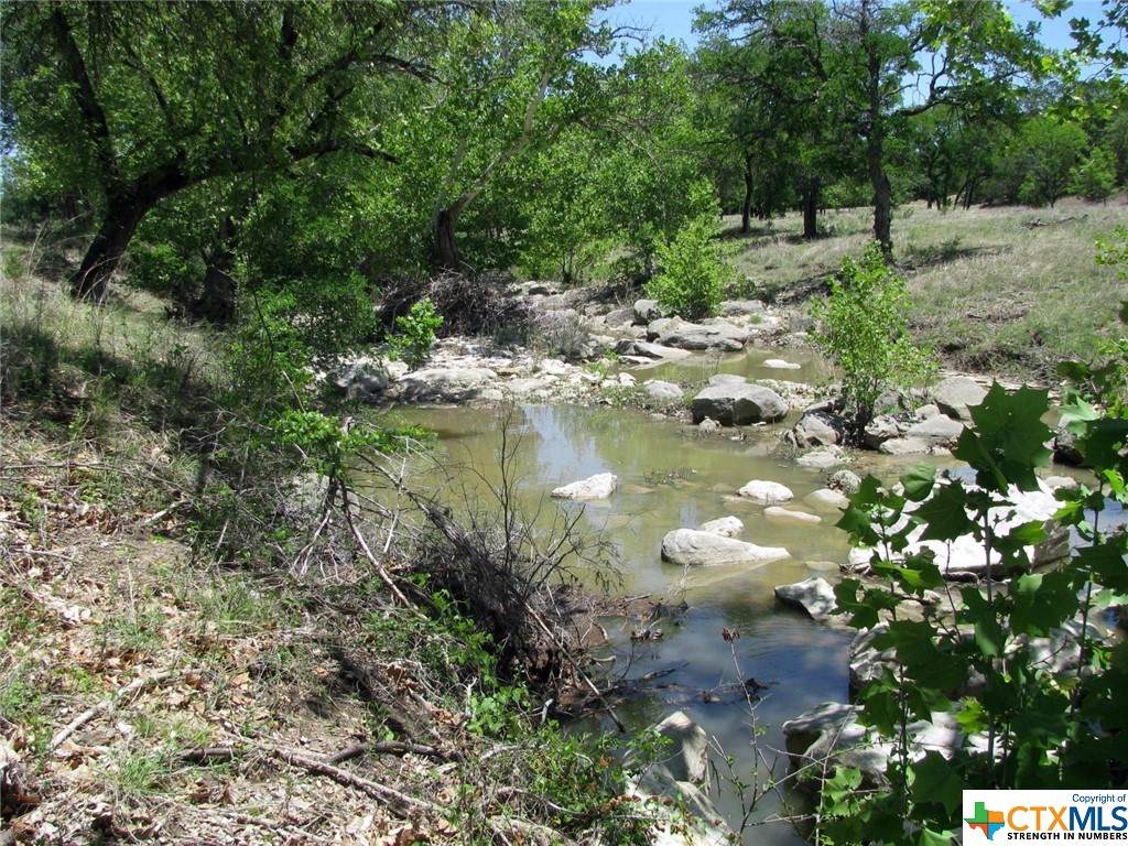 TBD10AC Buffalo Creek Drive - Photo 1