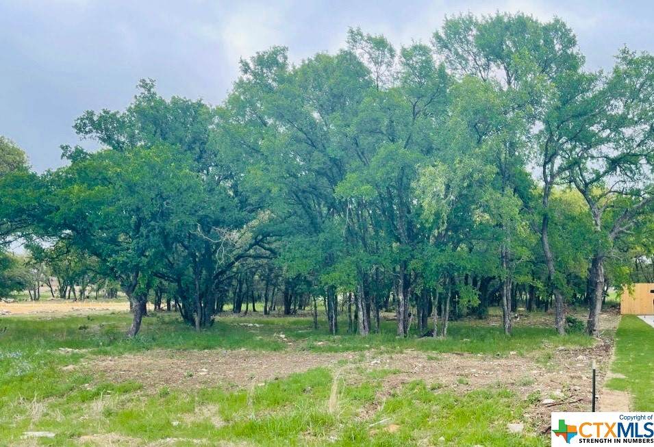 8391 Spring Creek Loop - Photo 1
