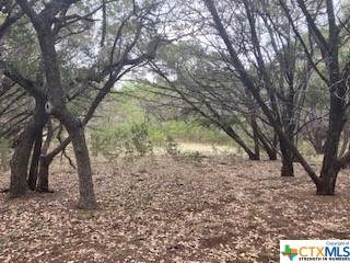 1437 Stallion Springs Drive - Photo 1