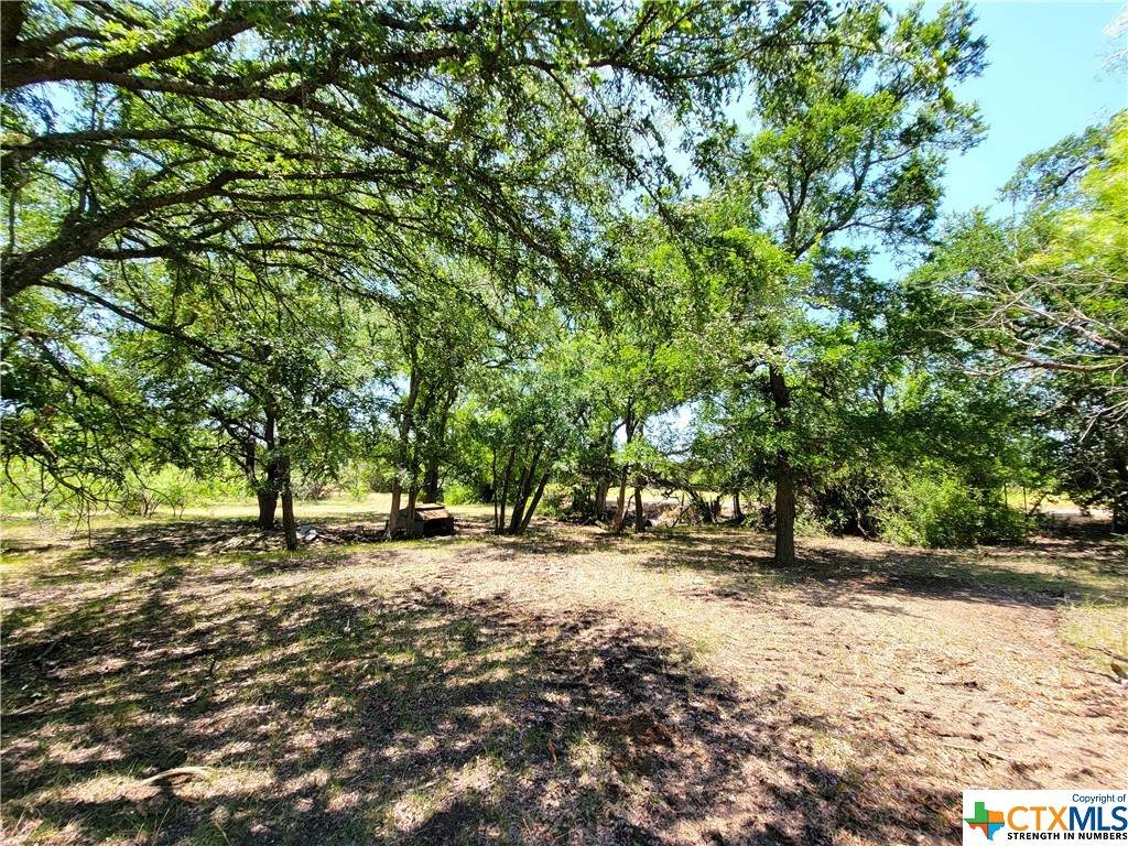 14609 Buckhorn Cemetery Road - Photo 1