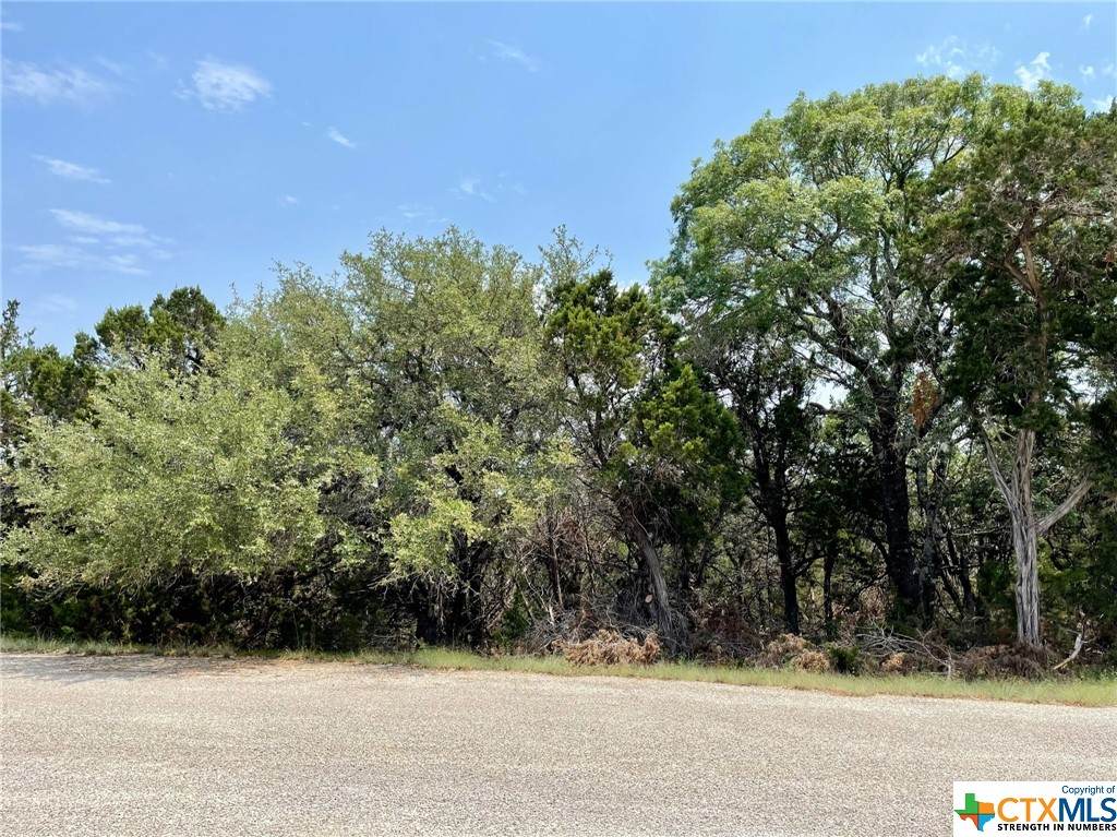 252 Colt Dylan Street - Photo 1