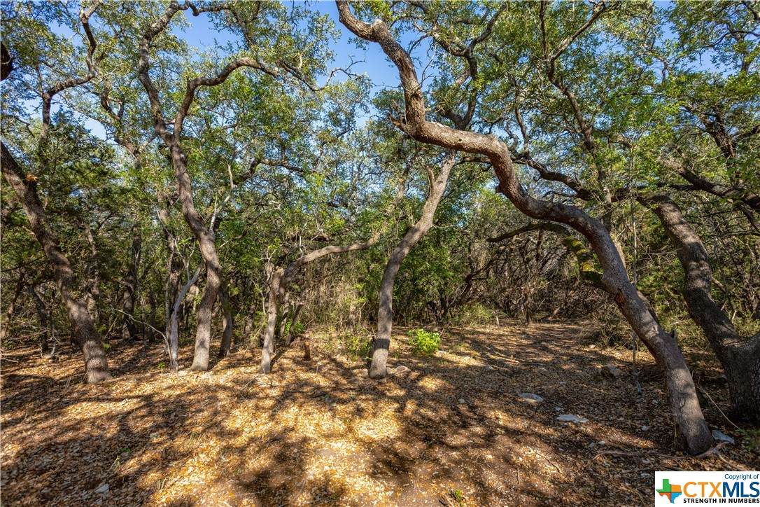 710 Settlers Road - Photo 1