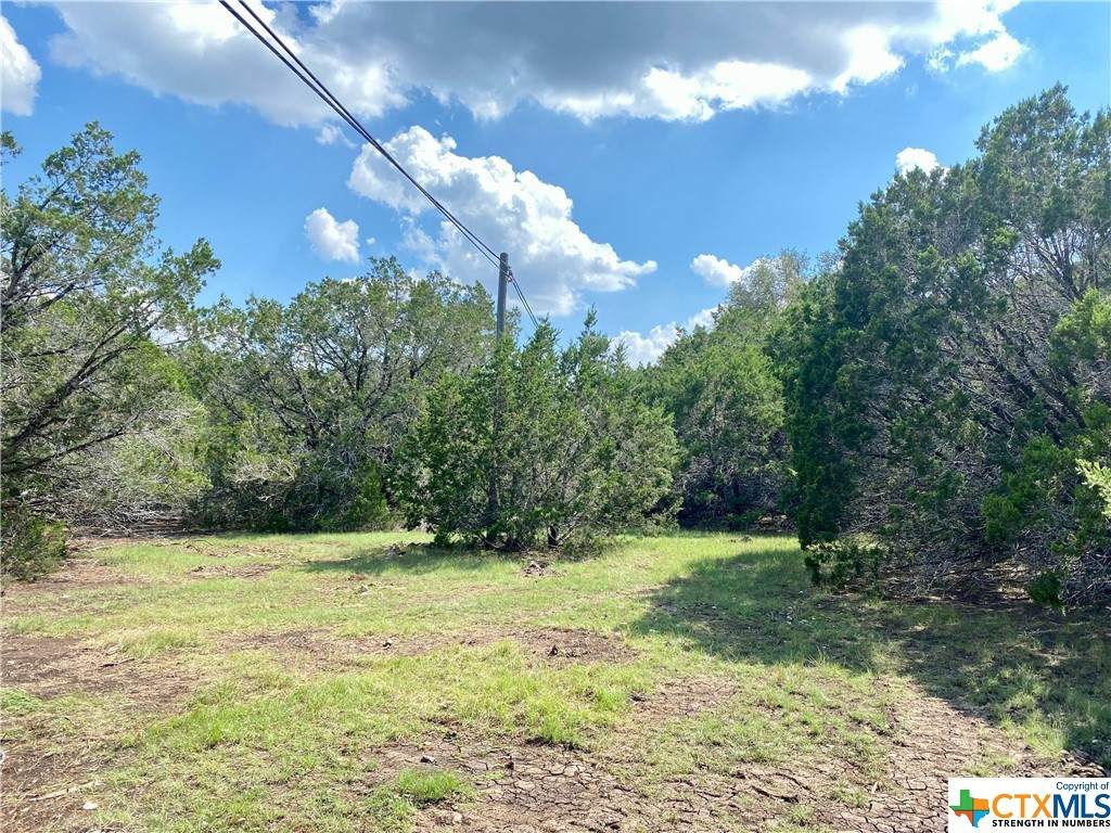 22.5 AC TBD County Rd 108 - Photo 1