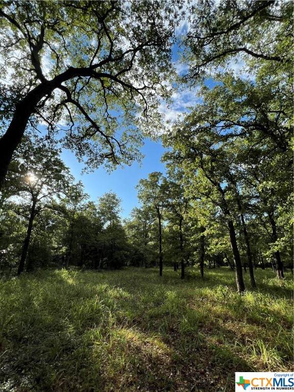 7416 W Fm 1644 - Photo 1