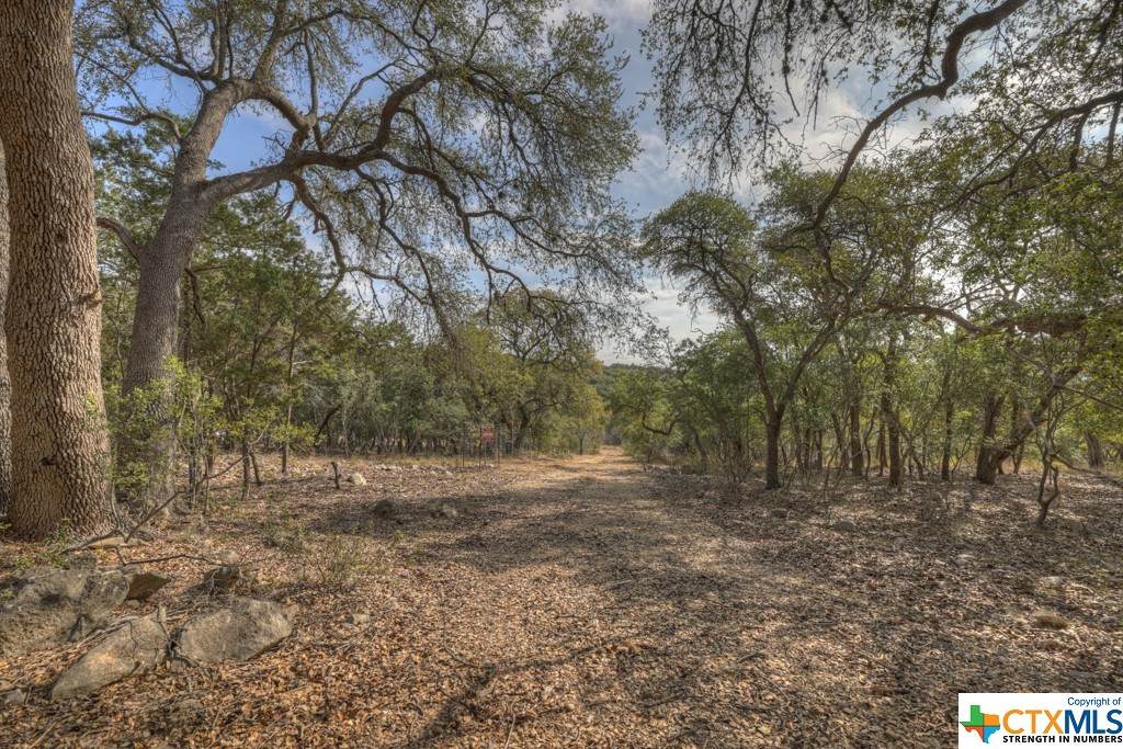 140 Longwood Drive - Photo 1