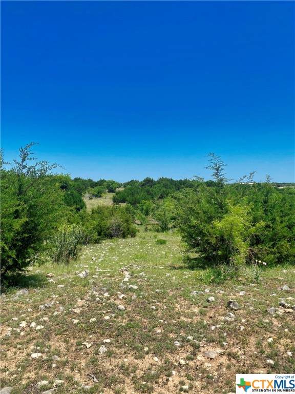 TBD Tract D Cr 206 - Photo 1