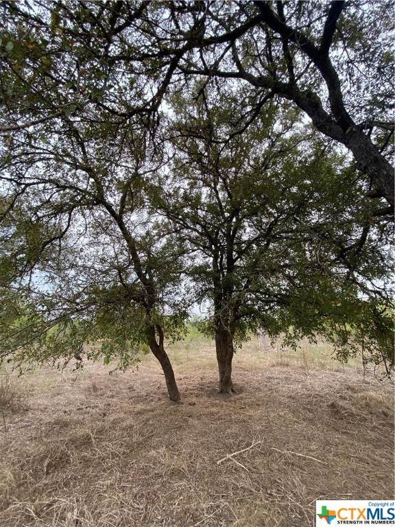 Lot 4 TBD County Road 451 - Photo 1